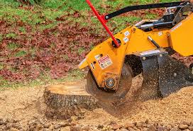 Best Lawn Pest Prevention  in Rice Lake, WI