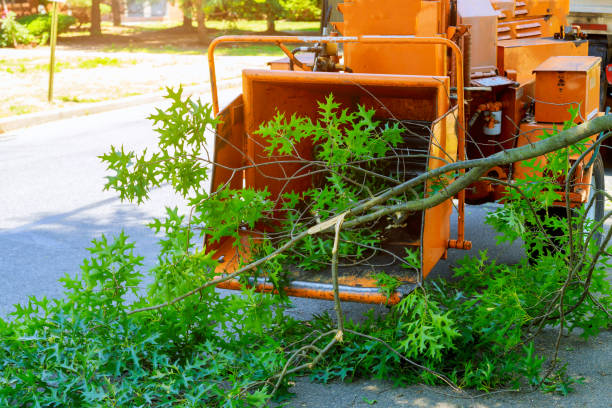Best Lawn Watering Services  in Rice Lake, WI