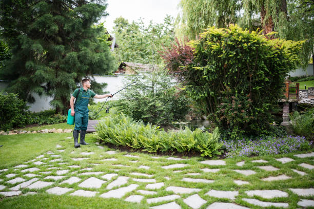 Best Tree and Shrub Care  in Rice Lake, WI