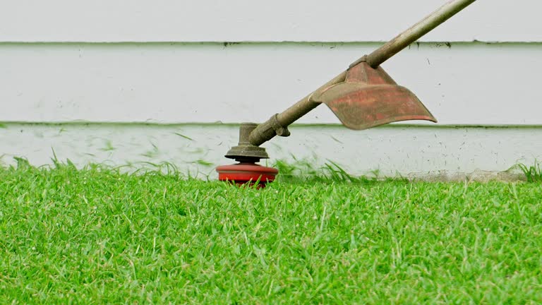 Best Arborist Consultation Services  in Rice Lake, WI
