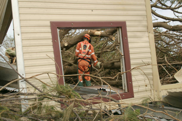 Best Emergency Tree Removal  in Rice Lake, WI